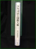 【少年司法と国際人権 山口直也】成文堂 立命館大学法学叢書第16号