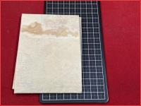 【戦勝記念地図】　支那　満洲  朝鮮 樺太　明治38年　毎日新聞社