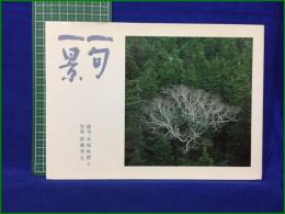 【一句一景 俳句:水原秋櫻子/写真:猪瀬秀夫】マコ―社