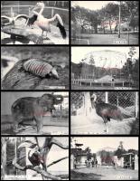 【絵葉書】熊本【島本動物園　第2集　8種8枚　袋付】戦前