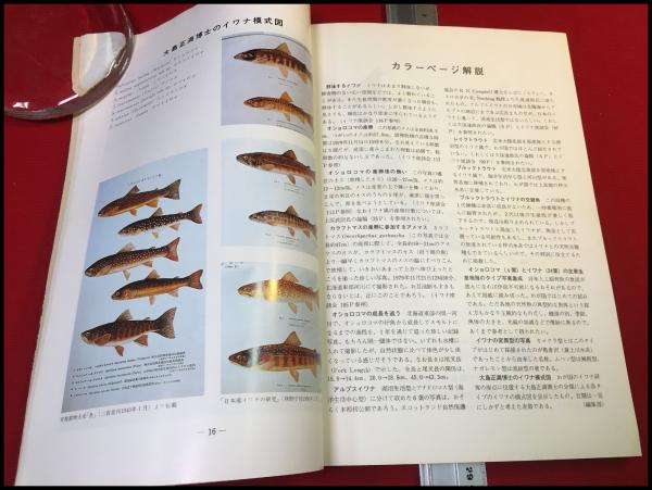 淡水魚保護 (1988〜1992) 5冊　淡水魚保護協会機関誌 イワナ特集】淡水魚保護協会機関誌「淡水魚」増刊 / 古本、中古