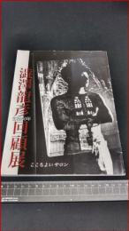 【図録】【生誕80年 澁澤龍彦回顧展 ： ここちよいサロン】神奈川近代文学館 　2008