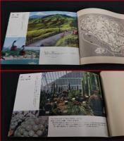 【旅行案内】【国立公園　伊豆探勝　26葉　全頁写真掲載】昭和レトロ