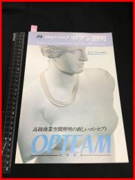 【カタログ】岩崎電気【高級商業空間用ハロゲン照明】二つ折り　当時物　昭和レトロ　1982年