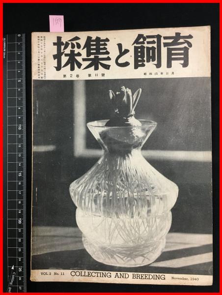 夢の散歩 つげ義春新作集】つげ義春 北冬書房 / 頭突書店 / 古本