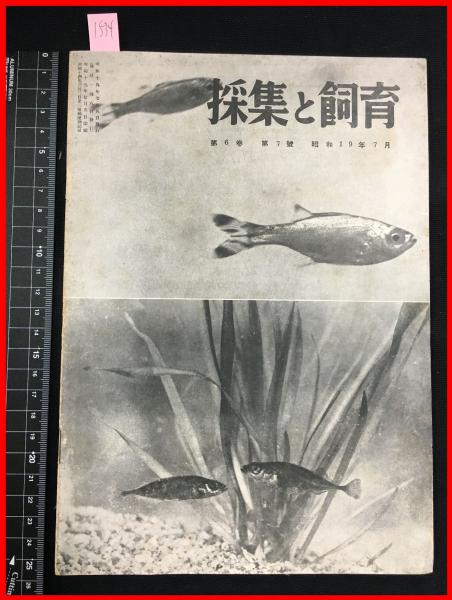 雑誌 採集と飼育 第6巻 第7號 昭和19 7 昆虫 海洋生物 動物 植物 細菌 頭突書店 古本 中古本 古書籍の通販は 日本の古本屋 日本の古本屋