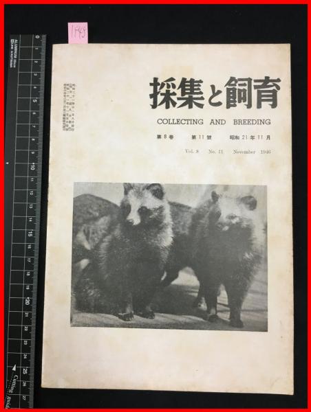 雑誌 採集と飼育 第8巻 第11號 昭和21 11 昆虫 海洋生物 動物 植物 細菌 頭突書店 古本 中古本 古書籍の通販は 日本の古本屋 日本の古本屋