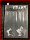 【雑誌】【採集と飼育　第5巻・第6號　昭和18/6】【昆虫・海洋生物・動物・植物・細菌】　