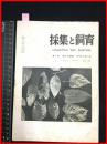 【雑誌】【採集と飼育　第9巻・第6.7號　昭和22/7】【昆虫・海洋生物・動物・植物・細菌】　