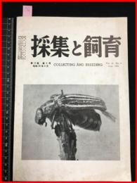 【雑誌】【採集と飼育　第13巻・第6号　昭和26/6】【昆虫・海洋生物・動物・植物・細菌】　