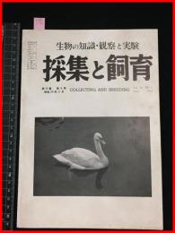 【雑誌】【採集と飼育　第16巻・第6号　昭和29/6】【昆虫・海洋生物・動物・植物・細菌】　