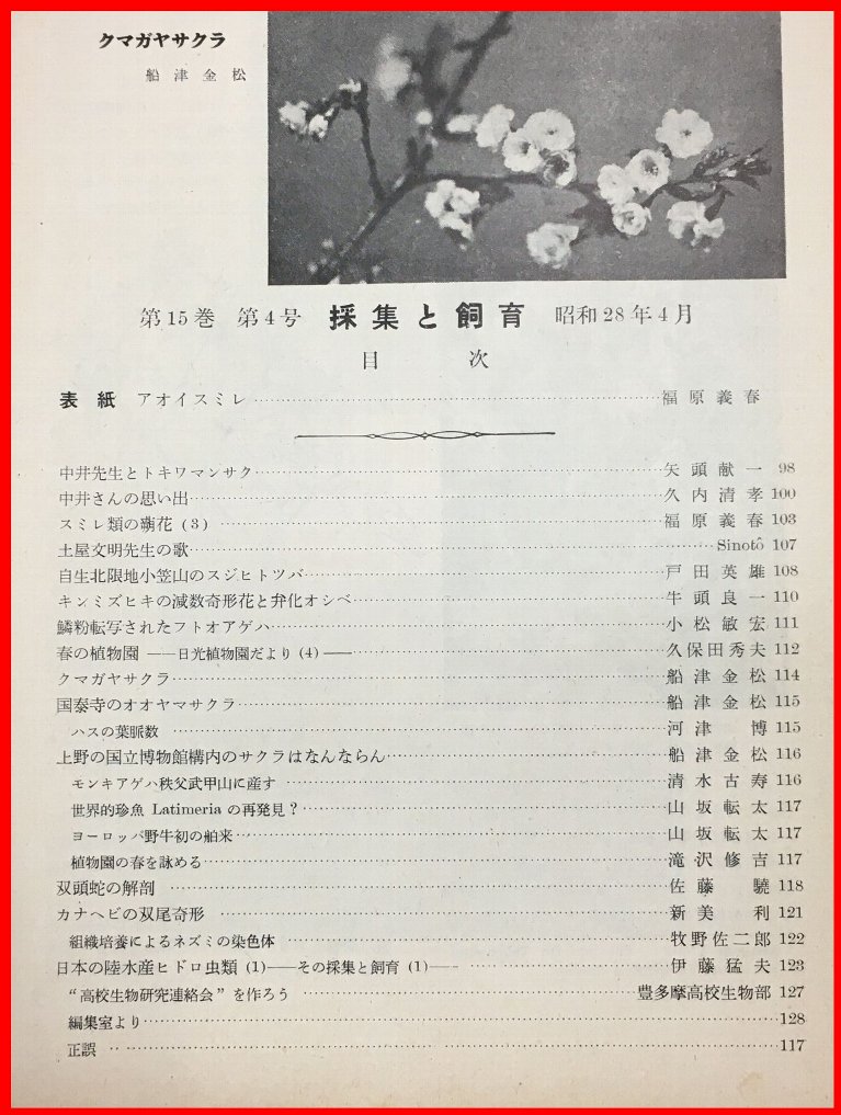 雑誌 「菫外国」創刊号〜第3号 3冊-