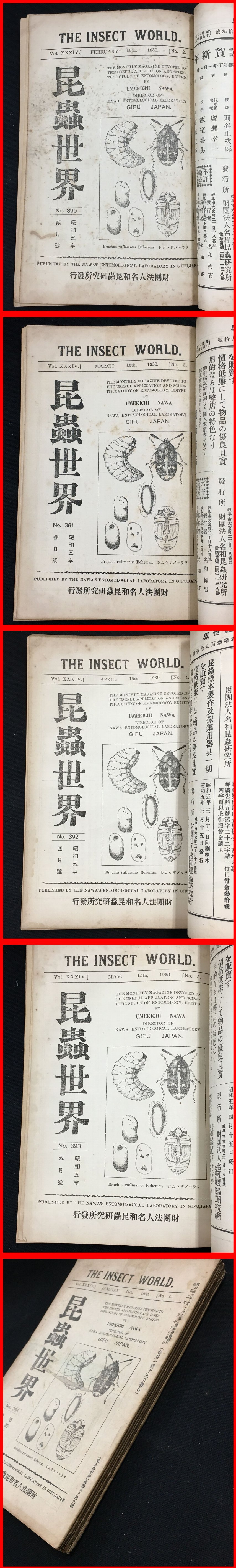 世界珍蝶図鑑 熱帯雨林編 | 海野 和男 |本 | 通販 | Amazon