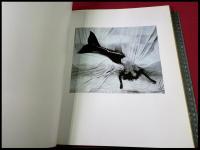 【写真集】【THE DARK SUMMER】 ボブ カルロス・クラーク 　Bob Carlos Clarke