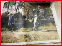【歴史写真　皇軍連戦連勝號 　第294号　昭和 12年】歴史写真会　
