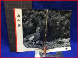 【岩波写真文庫 ３１　山の鳥　1952年】