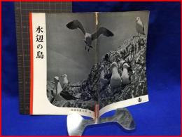 【岩波写真文庫５４　水辺の鳥　1952年 】