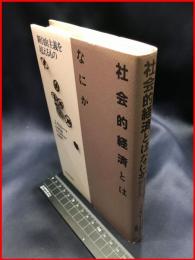 【社会的経済とはなにか　新自由主義を超えるもの】日本経済評論社　１９９６年