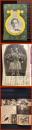 【東宝御案内　11月号　No.60】昭和13　16頁　ショウイズオンほか