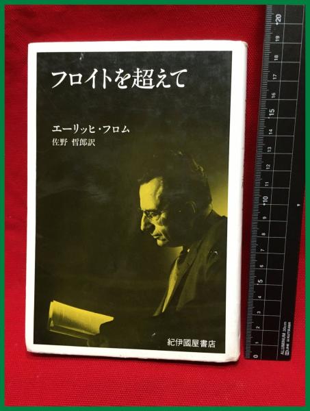DVD 桜田門外ノ変】佐藤純彌監督 大沢たかお 長谷川京子 2010年