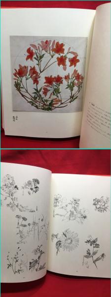 大型本】【柴田是真 花の丸集成 明治宮殿千種之間天井綴織下図】京都