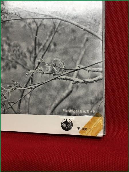 岩波写真文庫111 熊】1954年 岩波書店 / 古本、中古本、古書籍の通販は