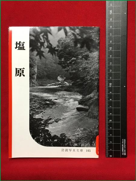 27540円 雑誌「昆虫世界」（名和昆虫研究所） 17巻セット 蝶