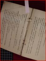 【剣客金子健四郎　東三偉傑史伝総合口座　第一集】東三文化研究会　昭和7年