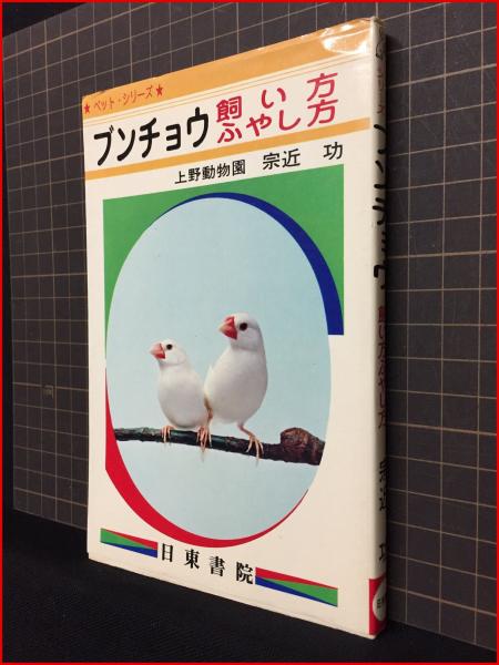 Amazon.co.jp: トッポジージョ (学研ひとりよみ名作) : おもちゃ