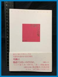 【セレクション柳人14】【広瀬ちえみ】邑書林　2005年　