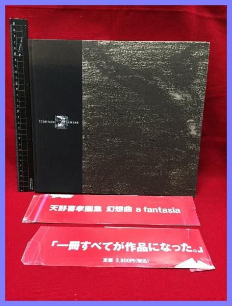 YOSHITAKA AMANO 天野喜孝画集 幻想曲 a fantasia】アールビバン