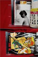 【アニメージュ 11月号 VOL.17 大特集 映画ルパン三世 カリオストロの城】大塚康生 徳間書店　