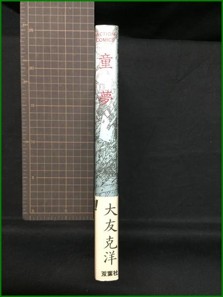 大友克洋 童夢 豪華版 初版 輸送箱付 愛蔵版 B4大判 双葉社