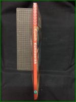 【Ragnhilds Kunststrikk Ragnhild Falch Ervic】Orion FORLAG
