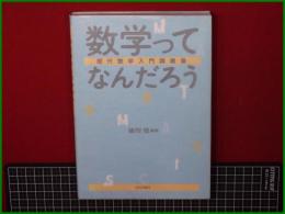 【数学ってなんだろう 現代数学入門講義集 猪狩惺】日本評論社