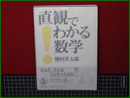 【直感でわかる数学 畑村洋太郎】岩波書店