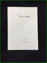 【神奈川県 伊勢原市　白根字下原遺跡】武相文化財研究所