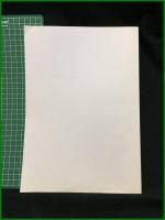 【子どもの権利条約の日本における 実地情況に関する報告書（子どもの権利条約に基づく第１回日本政府報告に関する日本弁護士連盟会の報告書）1997年】日本弁護士連合会