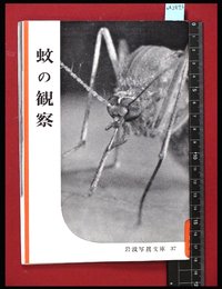 【岩波写真文庫37】蚊の観察　1954年