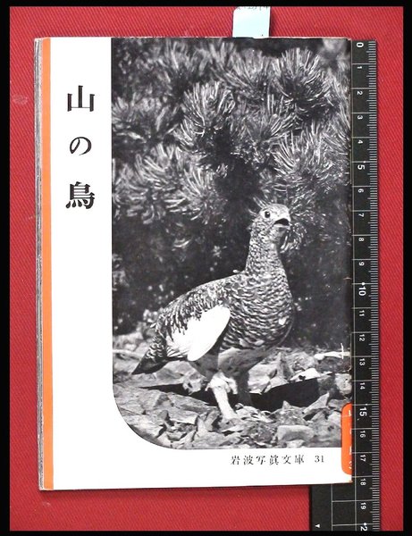 蒼蠅】熊谷守一 求龍堂 昭和51年 ※署名入り / 頭突書店 / 古本