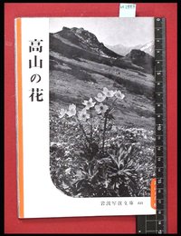 【岩波写真文庫60】高山の花　1953年