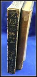 【文学の眺望　宇野浩二】白水社　昭和9年