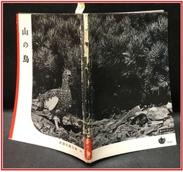 【岩波写真文庫 No.31　山の鳥】岩波書店　1951年