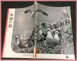 【岩波写真文庫 No.54　水辺の鳥】岩波書店　1952年