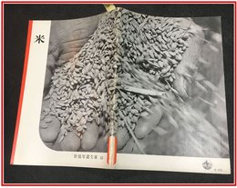 【岩波写真文庫 No.55　米】岩波書店　1952年