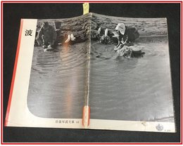 【岩波写真文庫 No.61　波】岩波書店　1952年