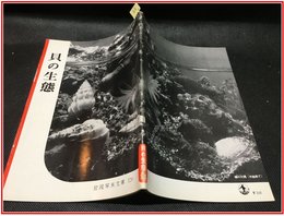 【岩波写真文庫 No.126　貝の生態】岩波書店　1954年