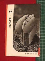 【岩波写真文庫】No.152豆-植物のいのち-