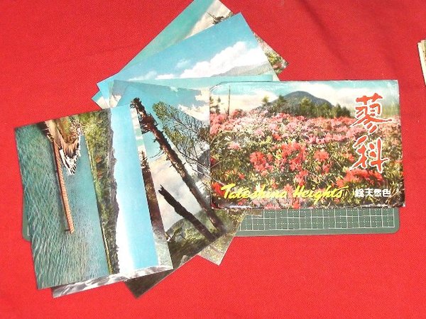 蒼蠅】熊谷守一 求龍堂 昭和51年 ※署名入り / 頭突書店 / 古本