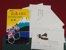 【絵葉書】【趣味のおし花てがみ　箱根】【5枚】【袋付】【神奈川県】【e062】
